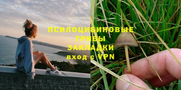 ALPHA PVP Заволжье