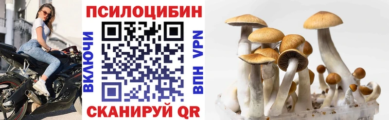 Галлюциногенные грибы мухоморы  Купить  Камышлов 