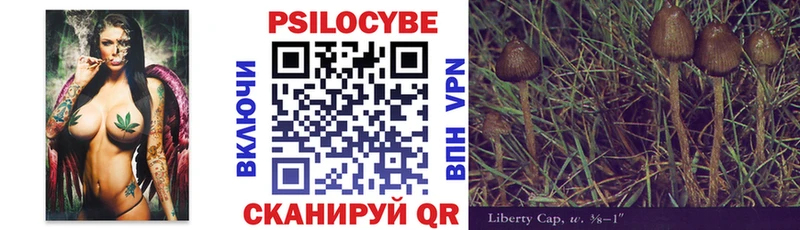 Псилоцибиновые грибы прущие грибы Камышлов